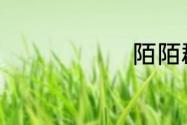 陌陌群是什么