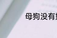 母狗没有奶水怎么催奶