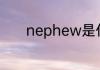 nephew是什么意思啊如何背