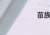 苗族传统节日