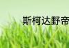 斯柯达野帝怎么样值得买吗