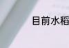 目前水稻亩产最高多少