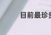 目前最珍贵的海螺是哪种