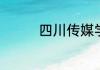 四川传媒学院北京分数线