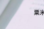 粟米是什么