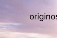 originos是什么手机