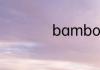 bamboo可数吗吃的