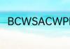 BCWSACWPBCWP分别什么意思