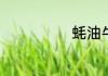 蚝油牛肉怎么做