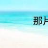那片星空那片海大结局
