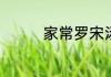 家常罗宋汤罗宋汤怎么做