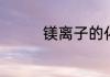 镁离子的化学符号是什么