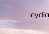 cydia闪退怎么办
