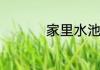 家里水池里常见的虫子