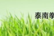 泰南拳剧情介绍