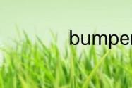 bumper是什么意思