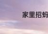 家里招蚂蚁预示着什么