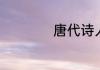 唐代诗人王维的介绍
