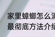 家里蟑螂怎么消灭彻底房间蟑螂消灭最彻底方法介绍