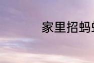 家里招蚂蚁预示着什么