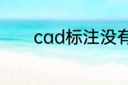 cad标注没有数字是怎么回事