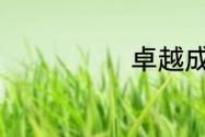 卓越成就的意思