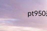 pt950是什么意思