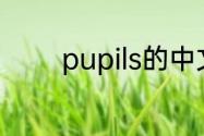pupils的中文是什么意思56