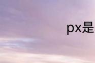 px是什么意思