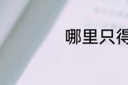 哪里只得我共你歌词