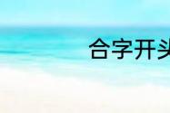 合字开头有什么成语