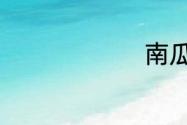 南瓜可数吗