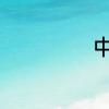 中考常考英语作文