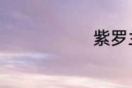 紫罗兰是什么