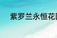 紫罗兰永恒花园剧场版讲了什么