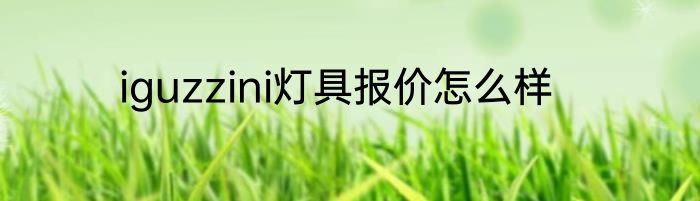 iguzzini灯具报价怎么样