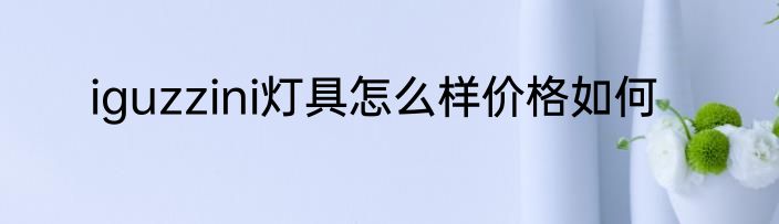 iguzzini灯具怎么样价格如何