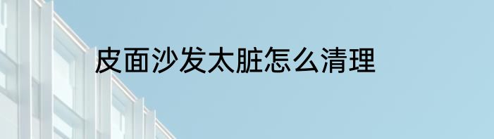 皮面沙发太脏怎么清理