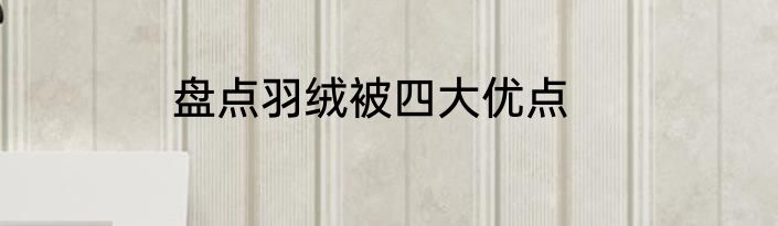 盘点羽绒被四大优点