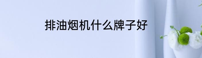排油烟机什么牌子好