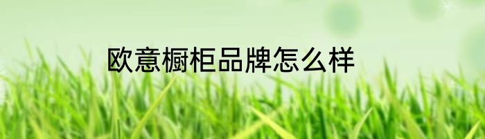 欧意橱柜品牌怎么样