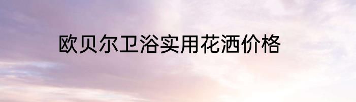 欧贝尔卫浴实用花洒价格