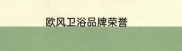 欧风卫浴品牌荣誉