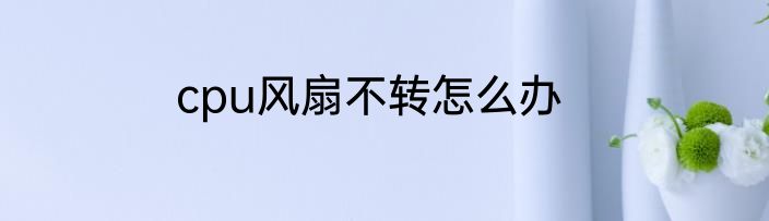 cpu风扇不转怎么办