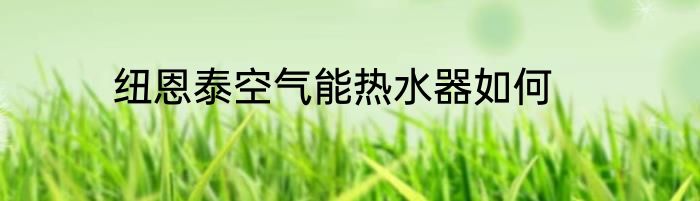 纽恩泰空气能热水器如何