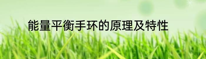能量平衡手环的原理及特性