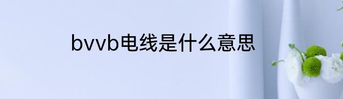 bvvb电线是什么意思
