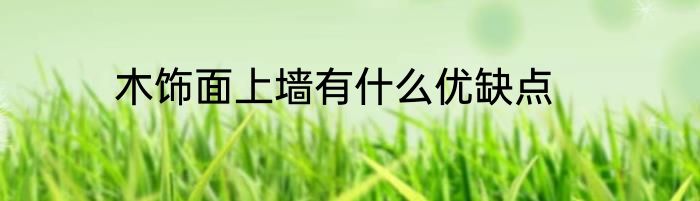 木饰面上墙有什么优缺点