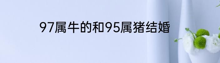 97属牛的和95属猪结婚