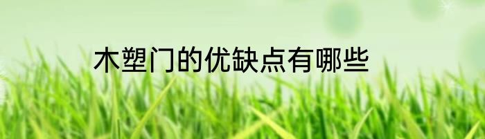 木塑门的优缺点有哪些
